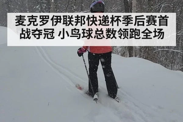 麦克罗伊联邦快递杯季后赛首战夺冠 小鸟球总数领跑全场