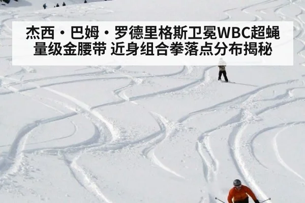 杰西·巴姆·罗德里格斯卫冕WBC超蝇量级金腰带 近身组合拳落点分布揭秘